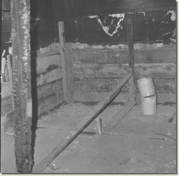 Click for the original image